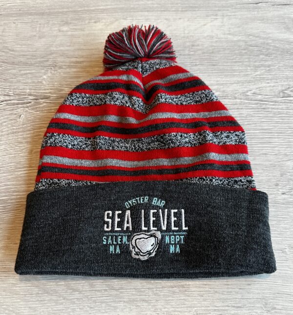 Sea Level Pom Pom Hat